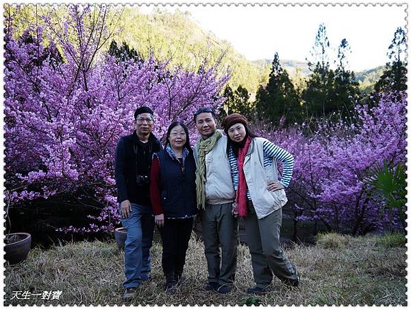 P1020372.jpg P1020372.jpg