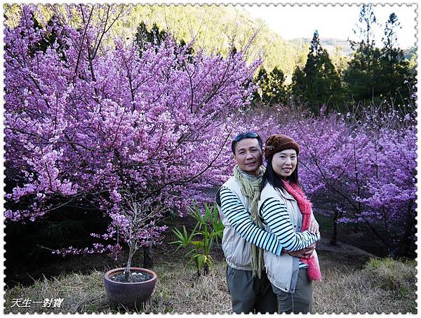 P1020374.jpg P1020374.jpg