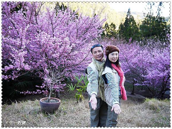 P1020375.jpg P1020375.jpg