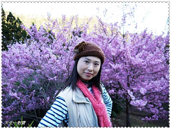 P1020386.jpg P1020386.jpg