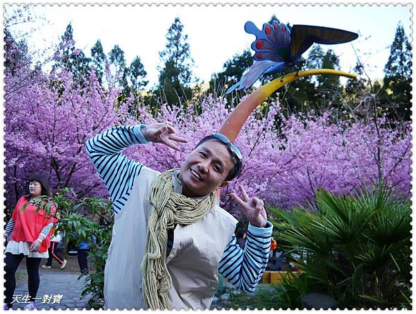 P1020395.jpg P1020395.jpg