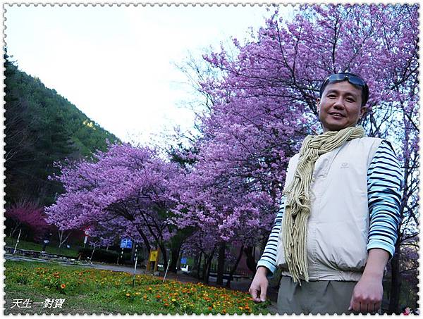 P1020405.jpg P1020405.jpg