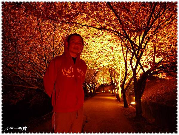 P1020519.jpg P1020519.jpg