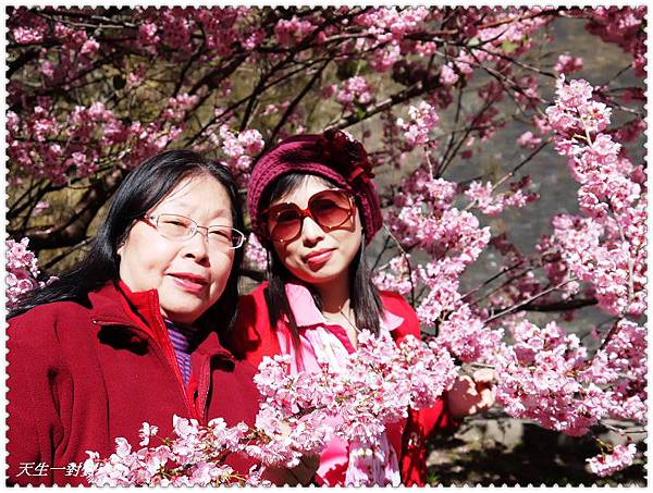 P1020616.jpg P1020616.jpg