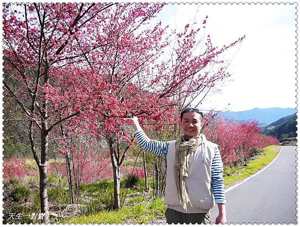 P1020173.jpg P1020173.jpg