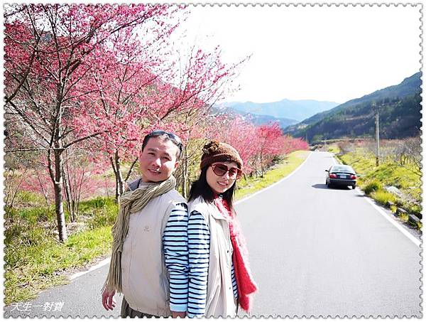 P1020179.jpg P1020179.jpg