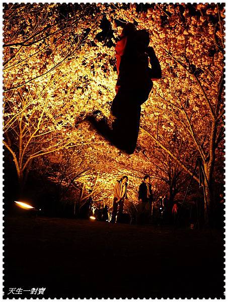 P1020493.jpg P1020493.jpg