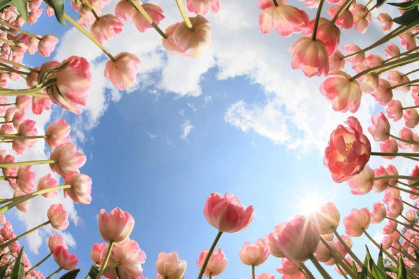 379614_328743253912308_1597032832_n