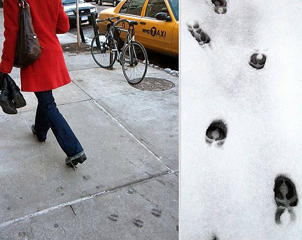 animal-footprint-shoes-maskull-lasserre-6