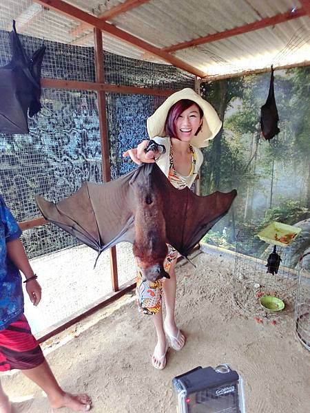 CIMG0601_副本 CIMG0601_副本