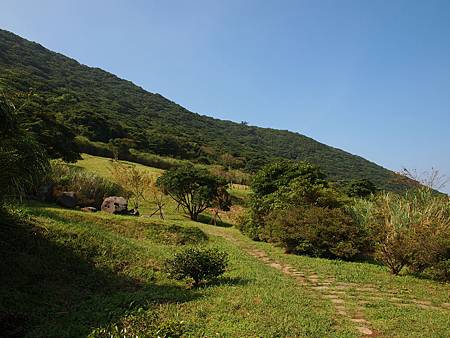 E5037853_012.jpg