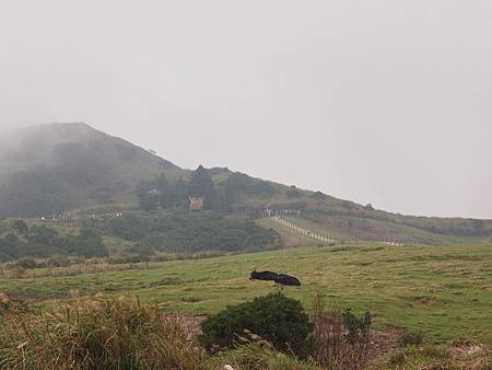 E5298527_014.jpg E5298527_014.jpg