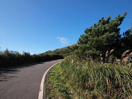 111105_大屯山_004PE050872.JPG