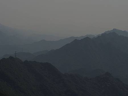 OM061633 OM061633
