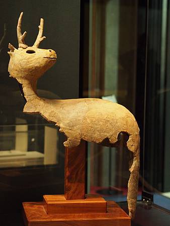 OM036268_248 OM036268_248