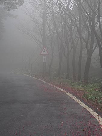 OM036668130203_105511_196 OM036668130203_105511_196