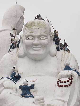 OM167091_16c OM167091_16c