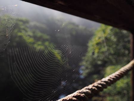M5230962-041 M5230962-041