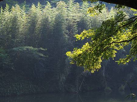P5041956.JPG P5041956.JPG