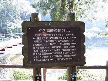 R3262014.JPG R3262014.JPG