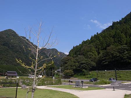 R3261983.JPG R3261983.JPG
