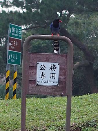 P5060103t P5060103t