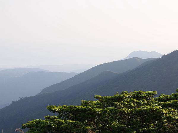 E5245174_072.jpg E5245174_072.jpg