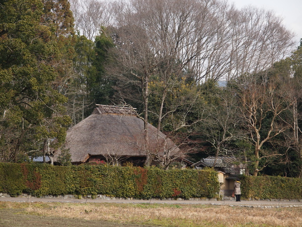 100105_10573930.jpg