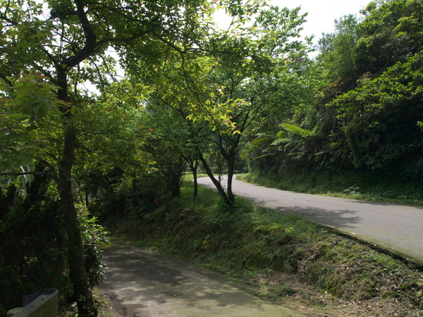 100410_汐萬公路034.jpg 100410_汐萬公路034.jpg