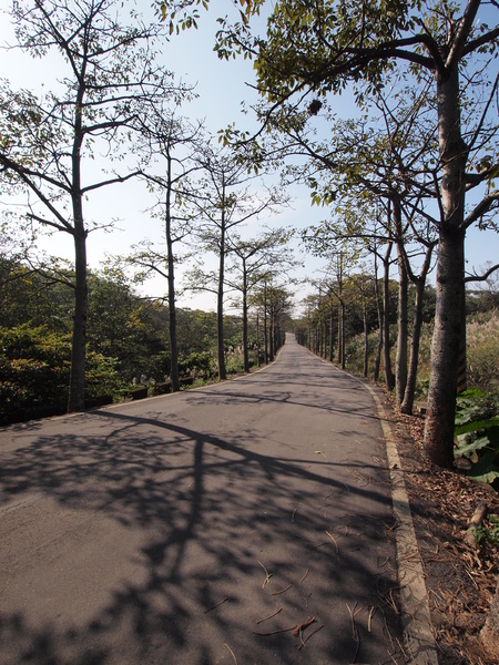 PE120077.JPG PE120077.JPG
