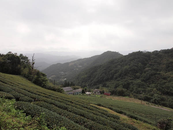 101204_Shiding_009s.JPG 101204_Shiding_009s.JPG