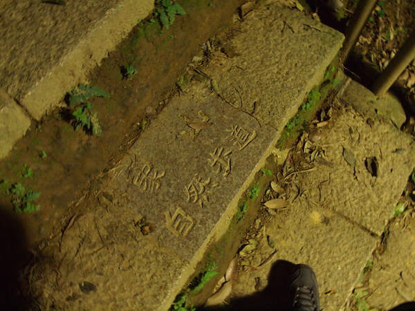 110207_05582803.jpg