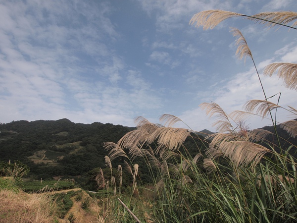 101204_Shiding_083s.JPG 101204_Shiding_083s.JPG