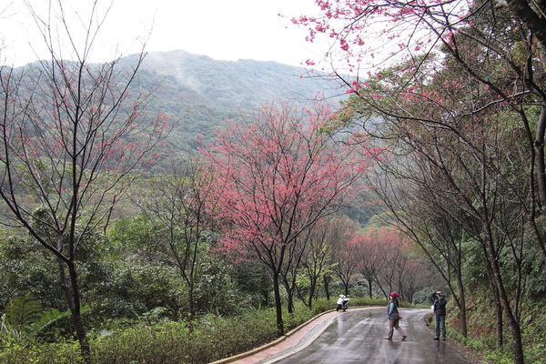 PE130538.jpg