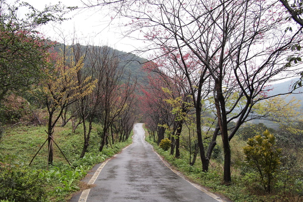 PE130527.jpg