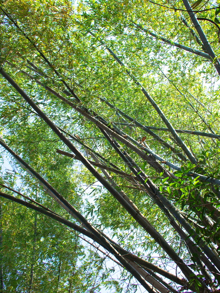 E5031568.jpg E5031568.jpg
