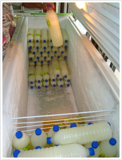 DSC01504.JPG DSC01504.JPG