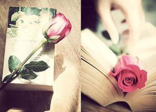 感人故事-11 感人故事-11