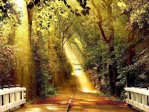 561101_301534123250015_191349070935188_682757_418186682_n