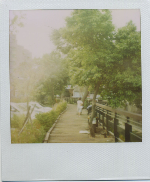 faye15.jpg faye15.jpg