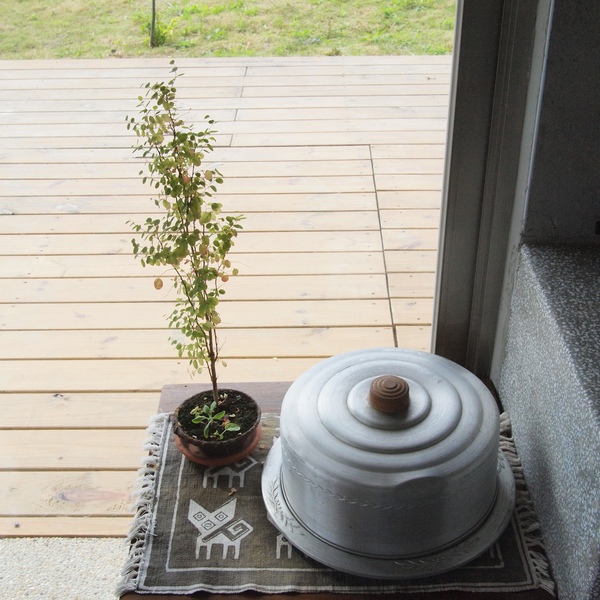 PA123032.JPG PA123032.JPG