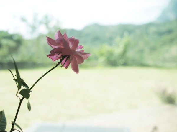 PA112915.JPG PA112915.JPG