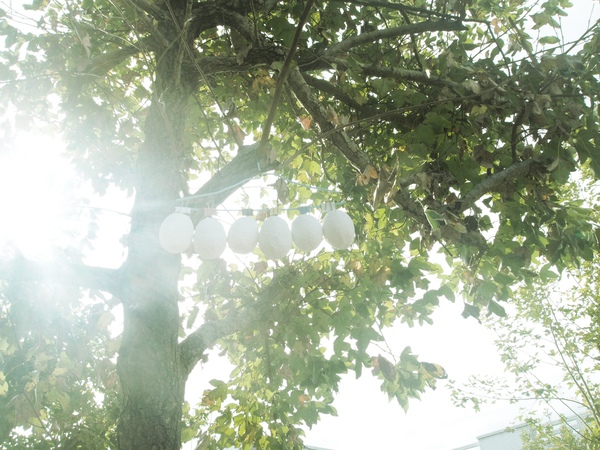 PA112977.JPG PA112977.JPG