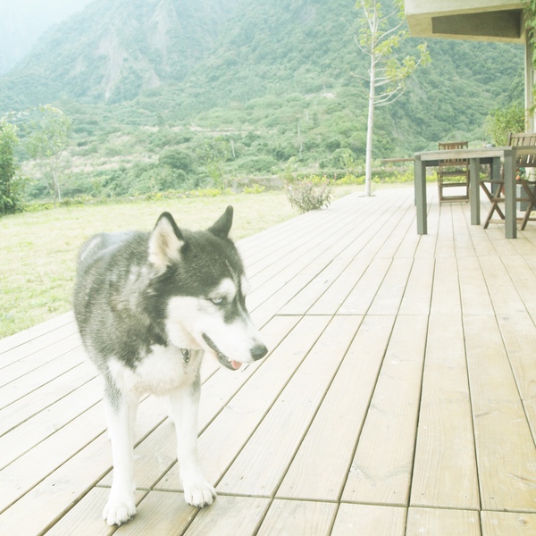 PA102891.JPG PA102891.JPG