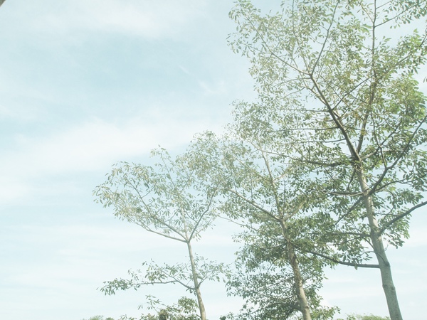 PA112993.JPG PA112993.JPG