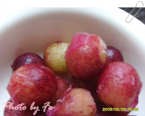 SSL25904.JPG SSL25904.JPG