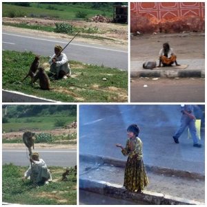 印度金三角(十二)印度風情 印度金三角(十二)印度風情