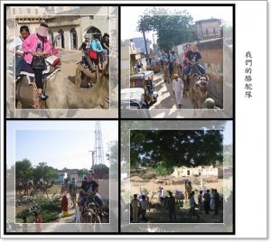 印度金三角(三)~曼達瓦騎駱駝980919 印度金三角(三)~曼達瓦騎駱駝980919