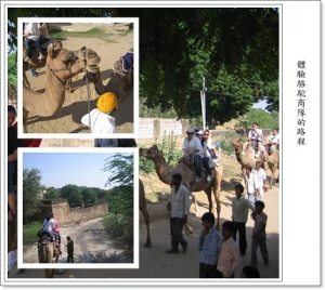印度金三角(三)~曼達瓦騎駱駝980919 印度金三角(三)~曼達瓦騎駱駝980919