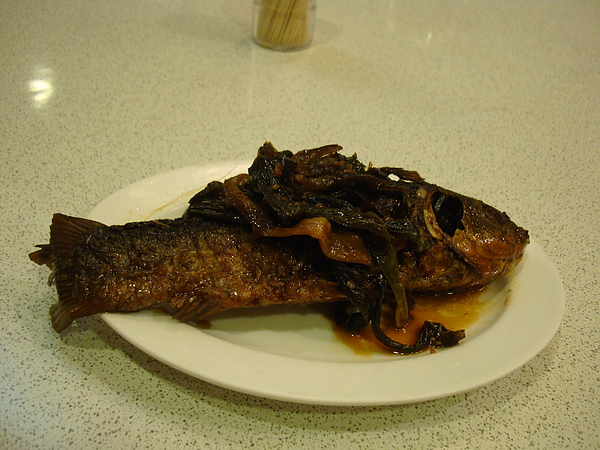 DSC01704.JPG DSC01704.JPG